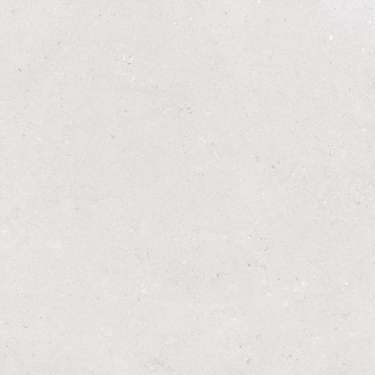 CALIFORNIA BIANCO_P1