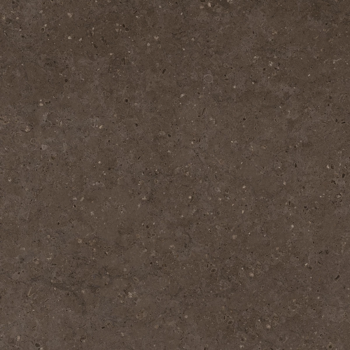 FLAKES COCO DARK 