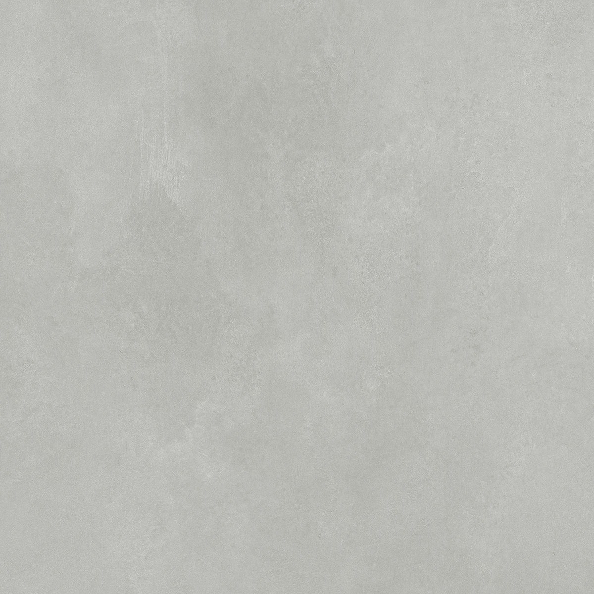 CONCORDE GRIGIO_F1