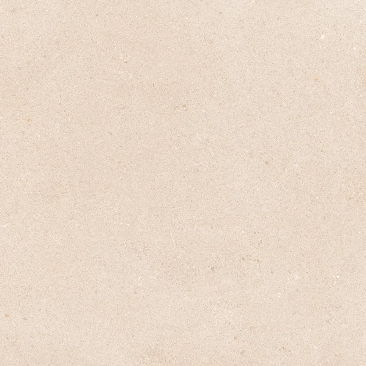 CALIFORNIA CREMA_P1
