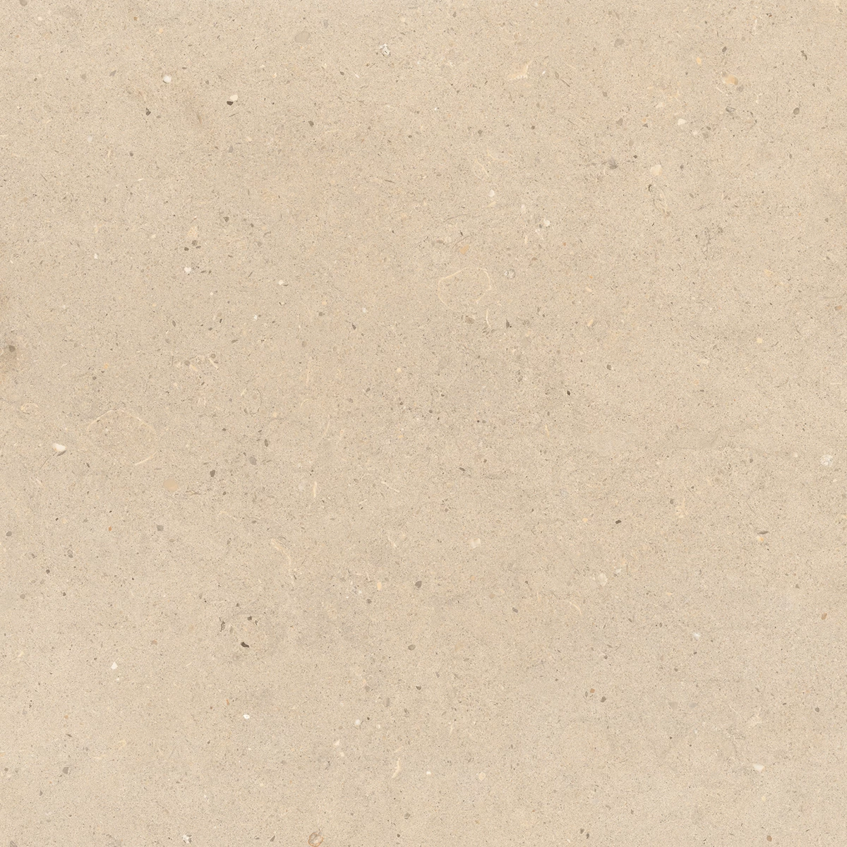CALIFORNIA IVORY_P1