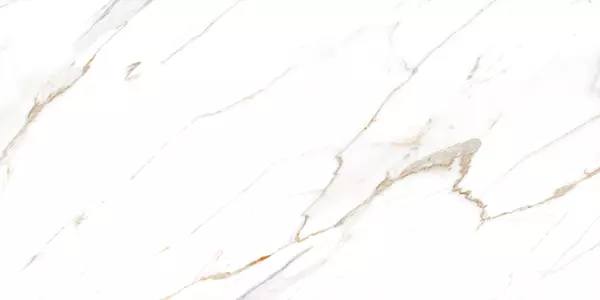 FELIS WHITE P1