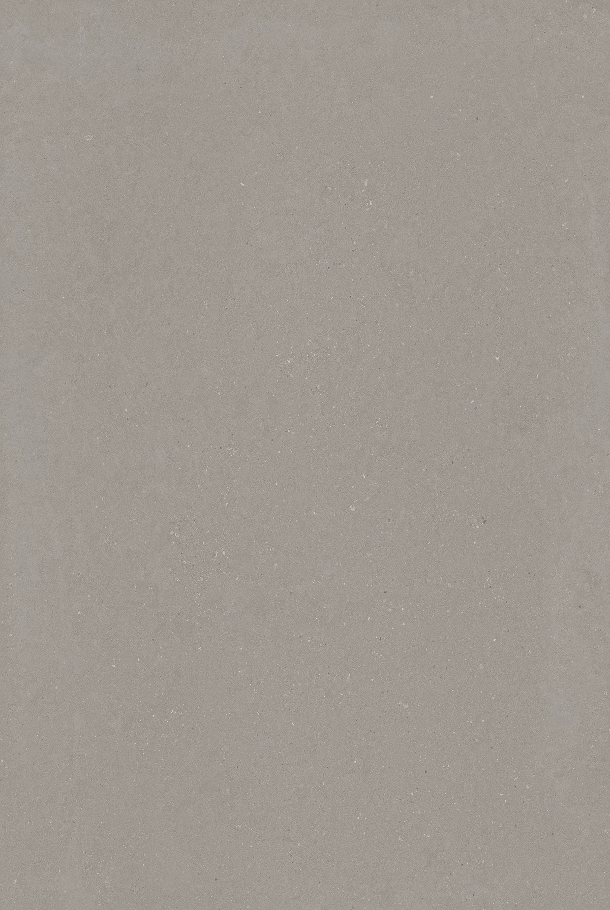 DAKOTA GREY_01