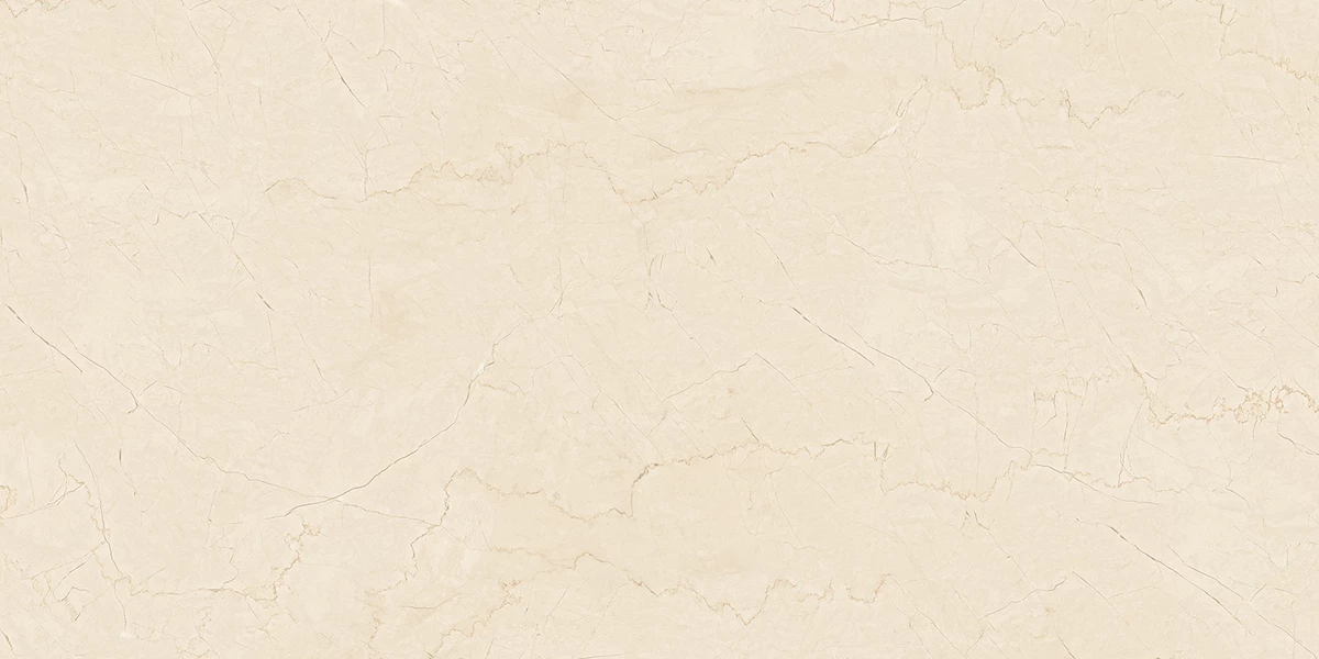 NIRVANA IVORY_P1