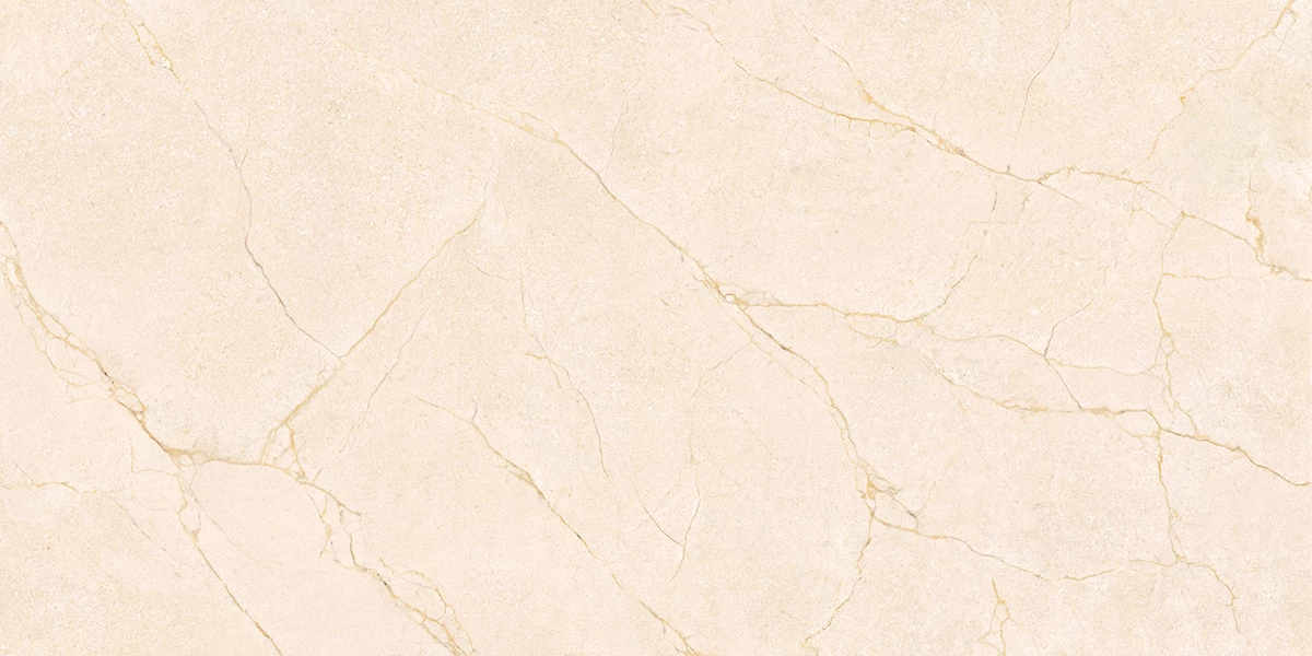 IGNITE IVORY_P1