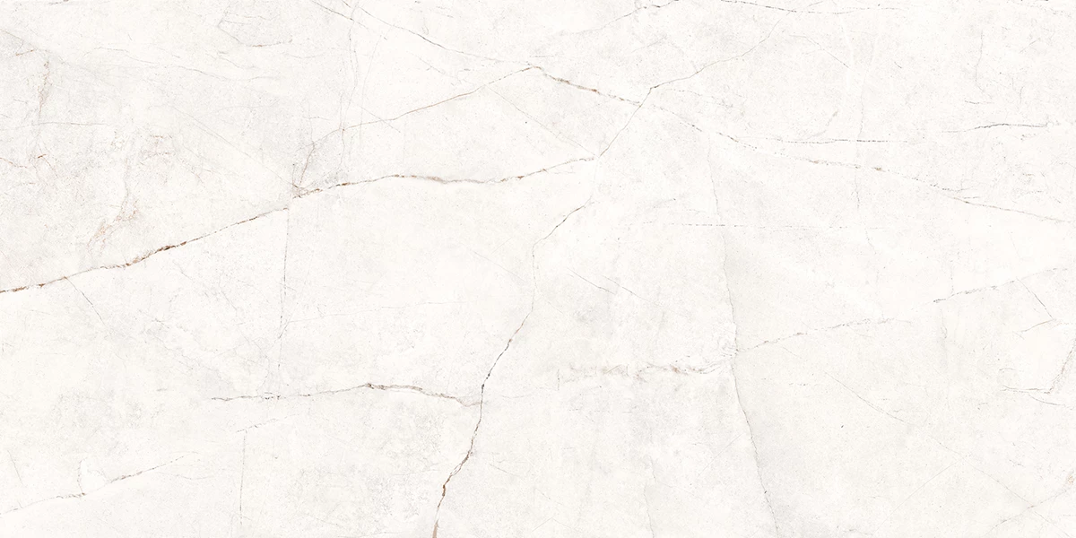 APOLO BIANCO_P1