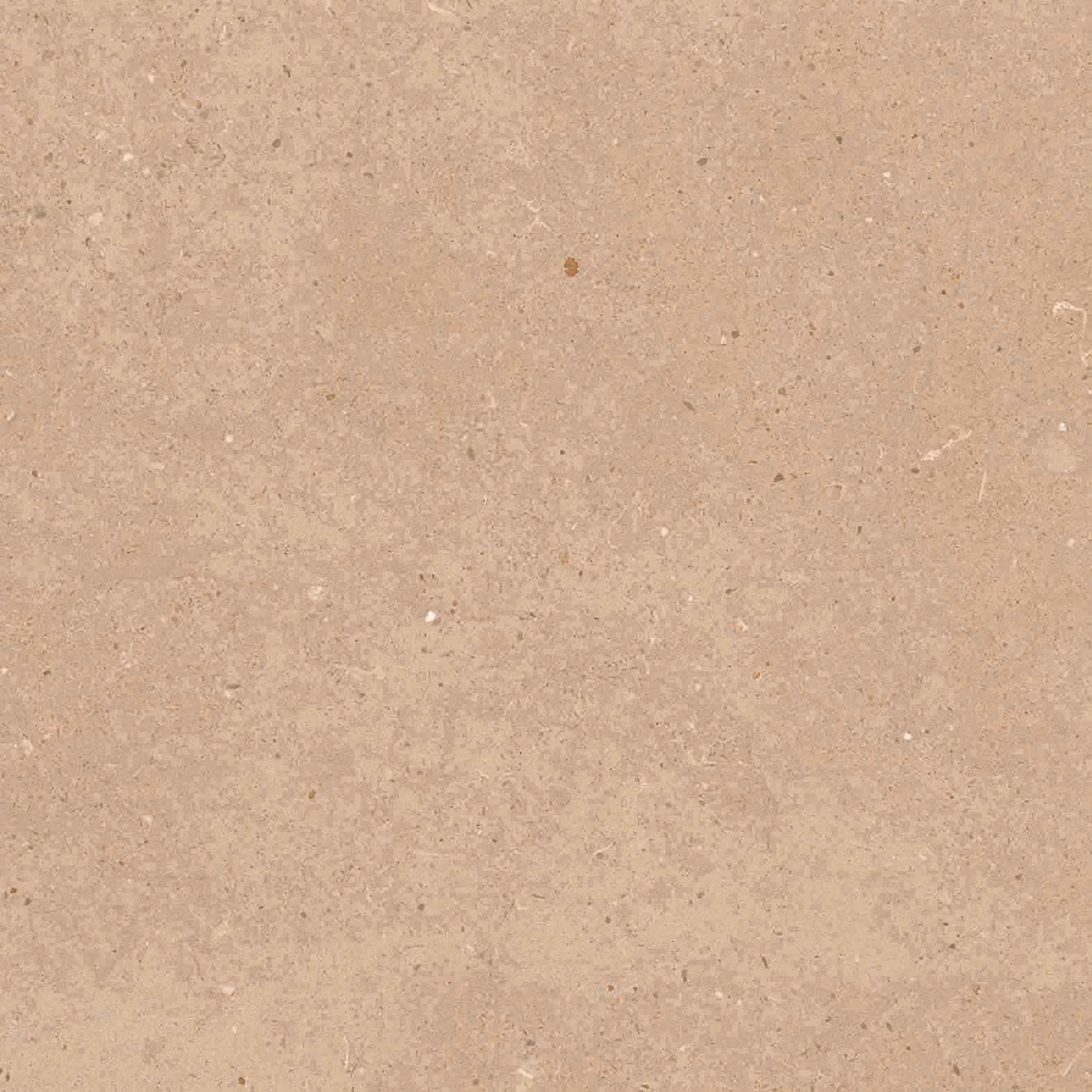 CALIFORNIA BROWN_P2