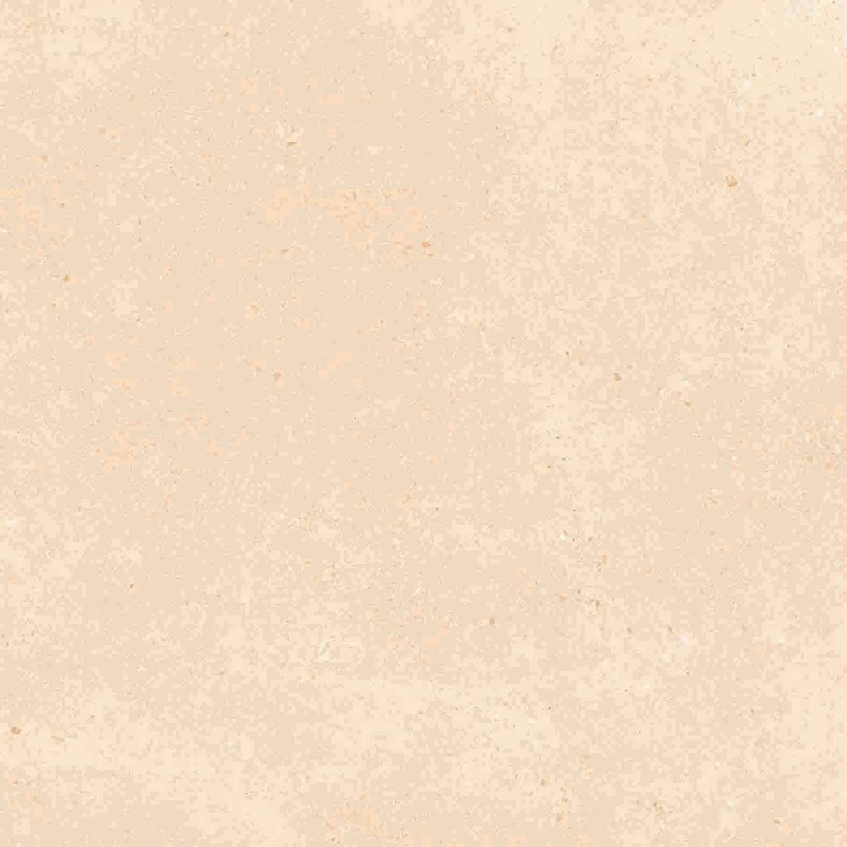 CALIFORNIA CREMA_P1