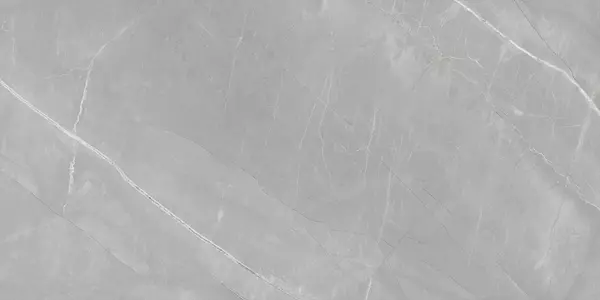 PULPIS GRIS P1