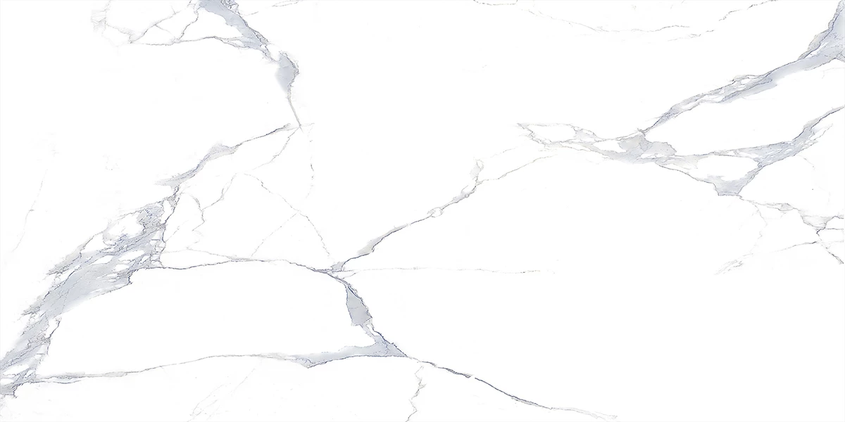SATVARIO EVA_P1
