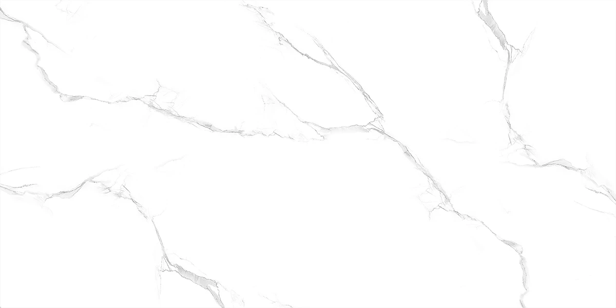 LIBARTO SATVARIO_P1