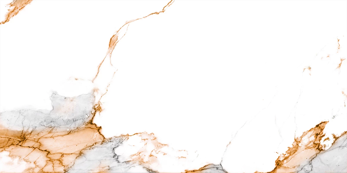 SAN MARRON_P1