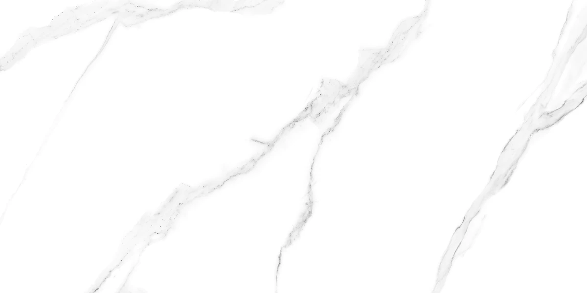 SATVARIO ICE_R1