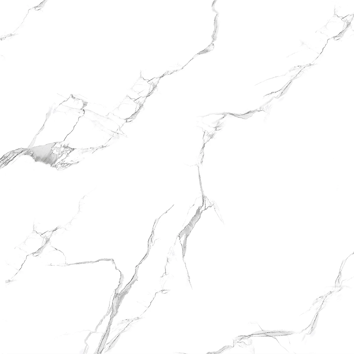 CANVAS STATUARIO R1