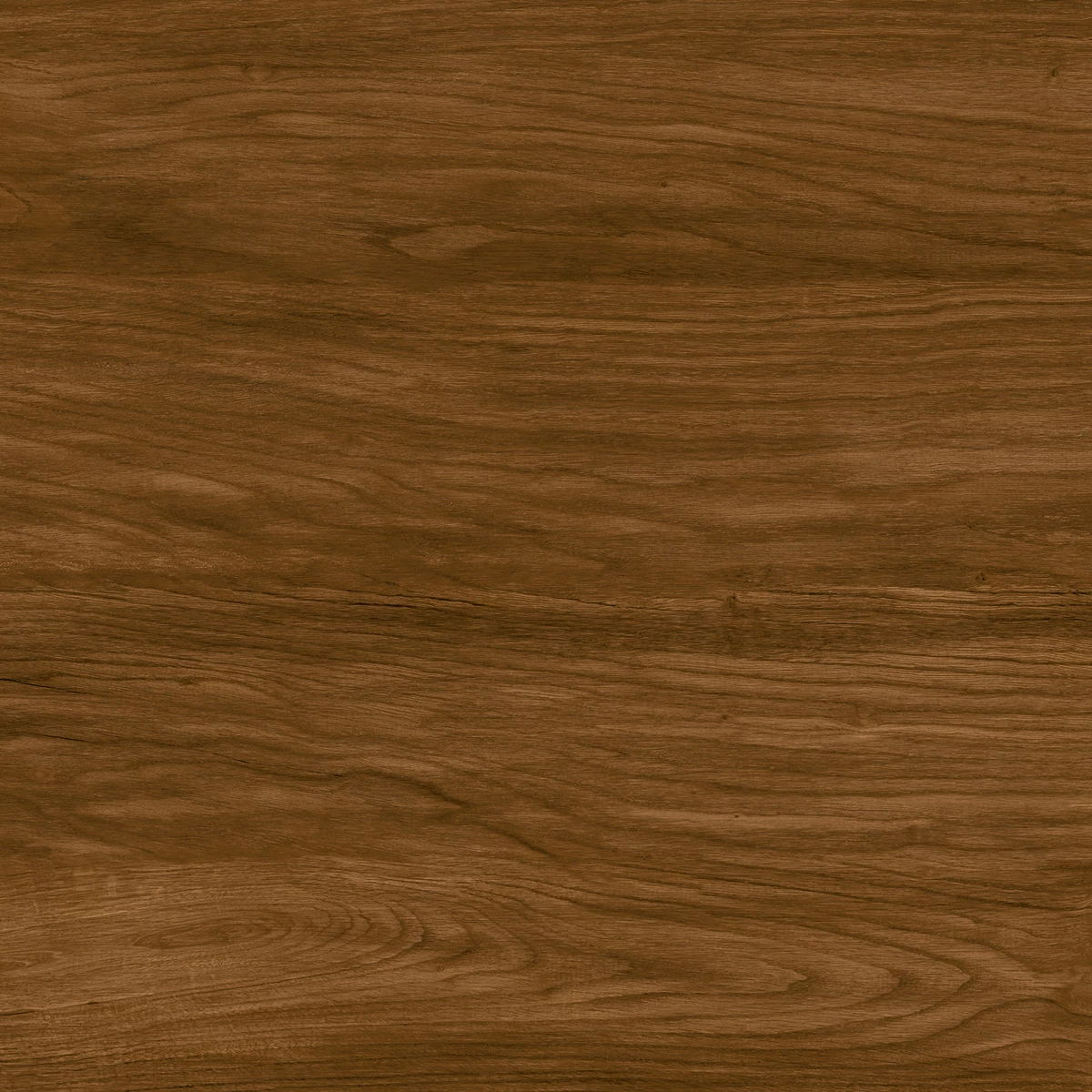 REDD WOOD P1