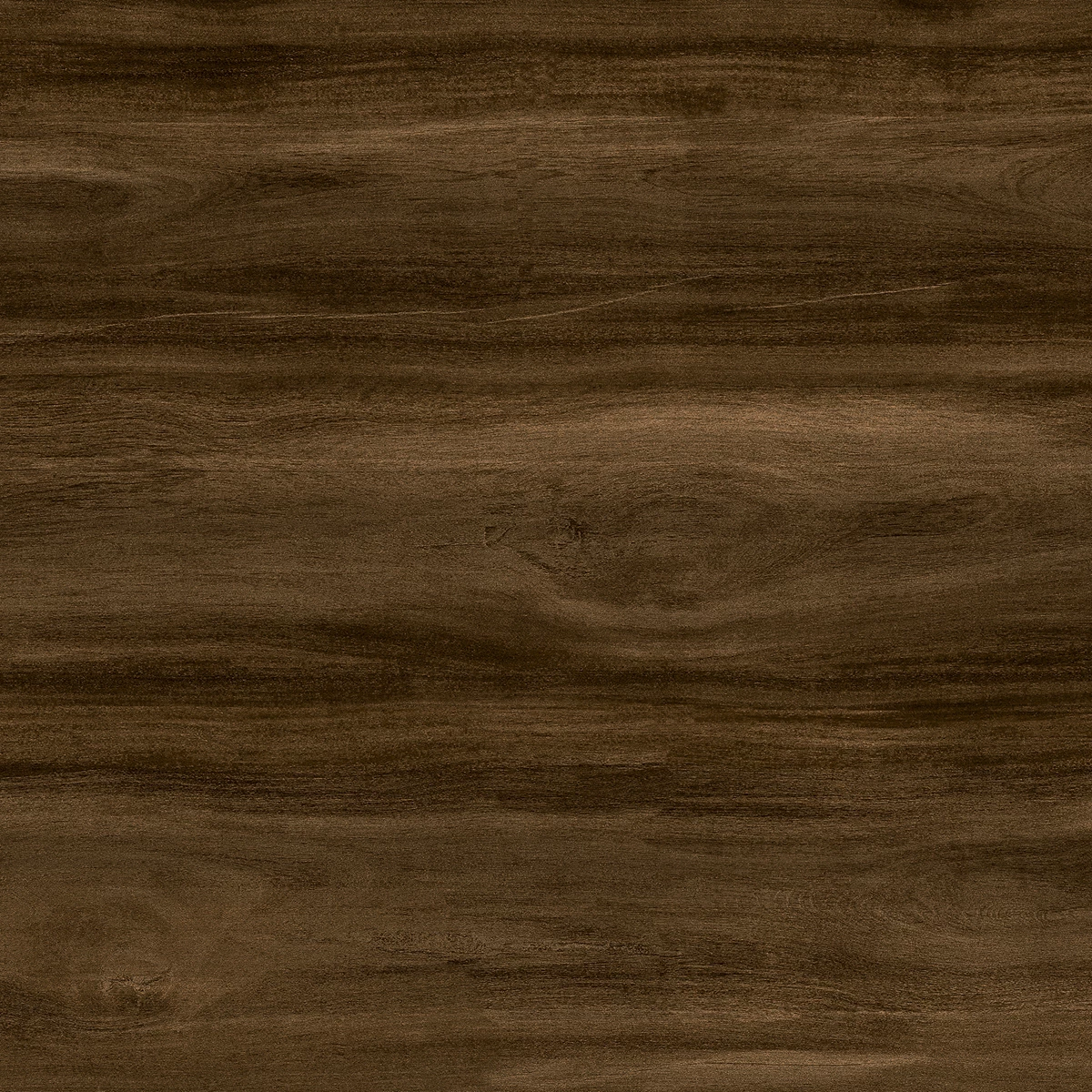 HICKORY CHOCO_P1