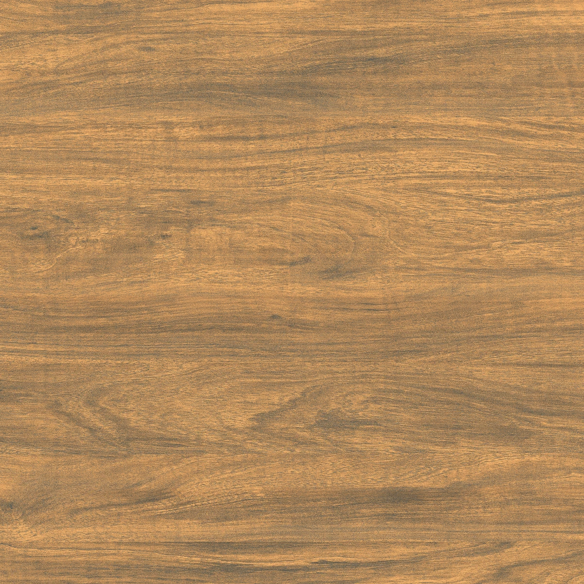 ROYAL WOOD P1
