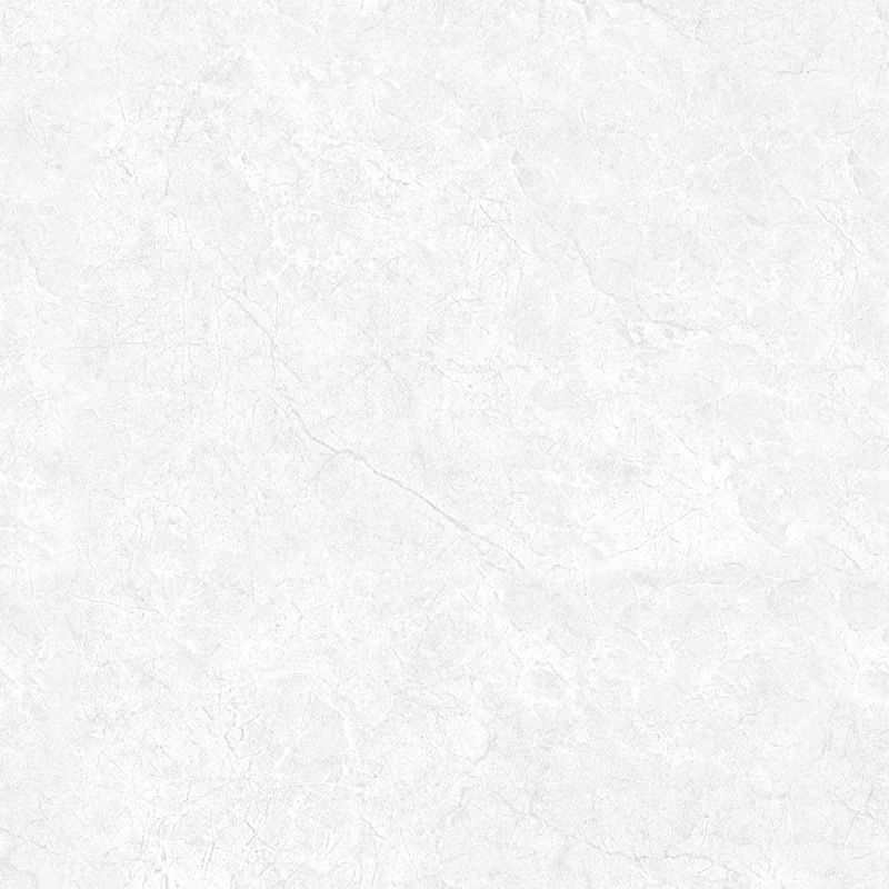 CR_ENDLESS OYSTER BIANCO(3569)-1