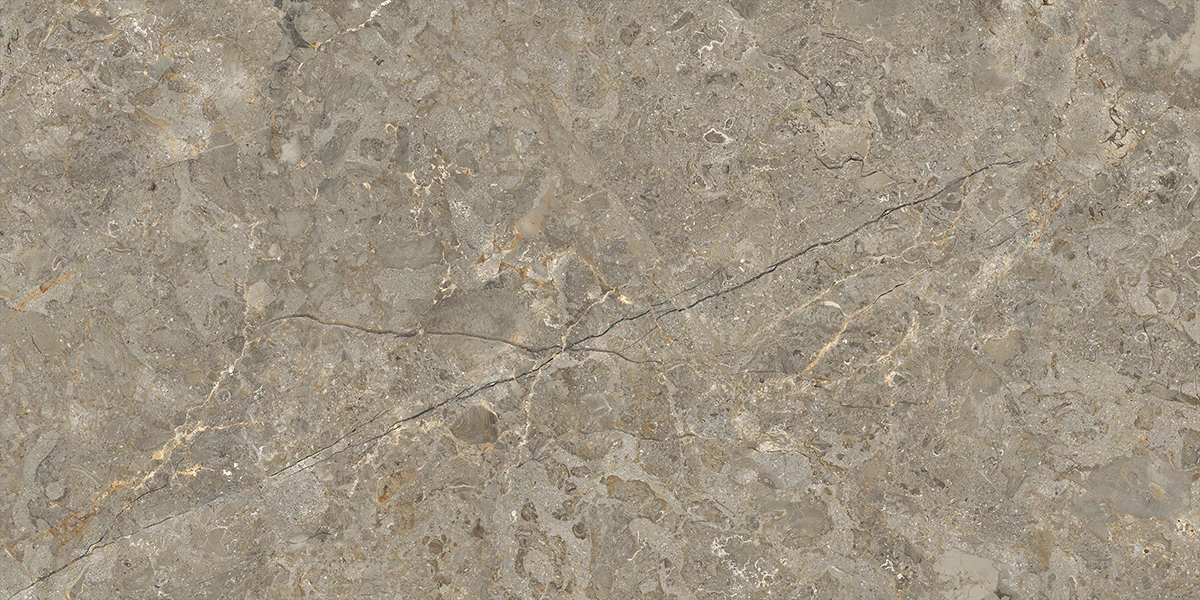 ASTONIA GRIS_P1