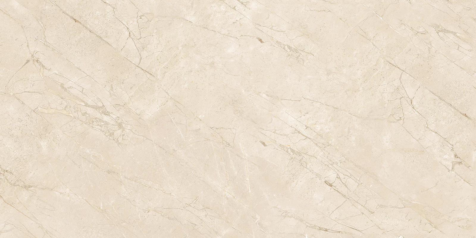 ROBINS IVORY-R1