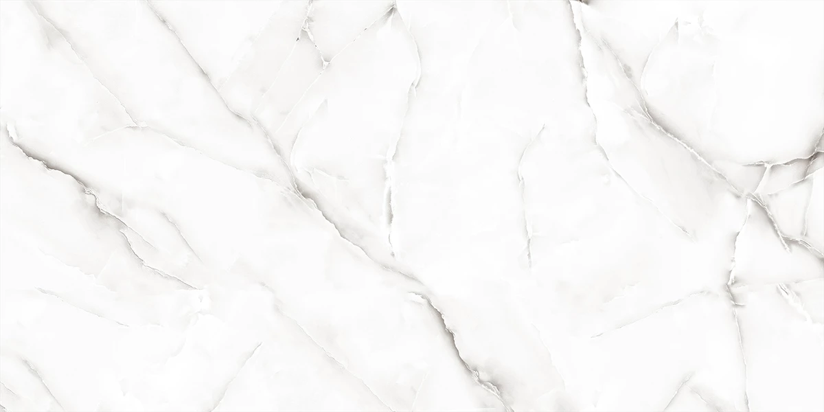 ONYX NESTER SILVER_P1