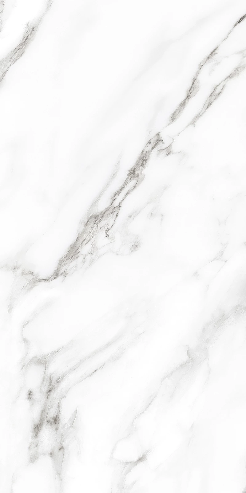SONATA WHITE_01