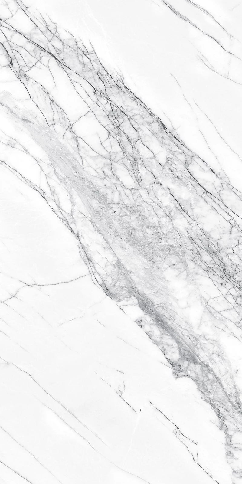 STATUARIO SILK_01