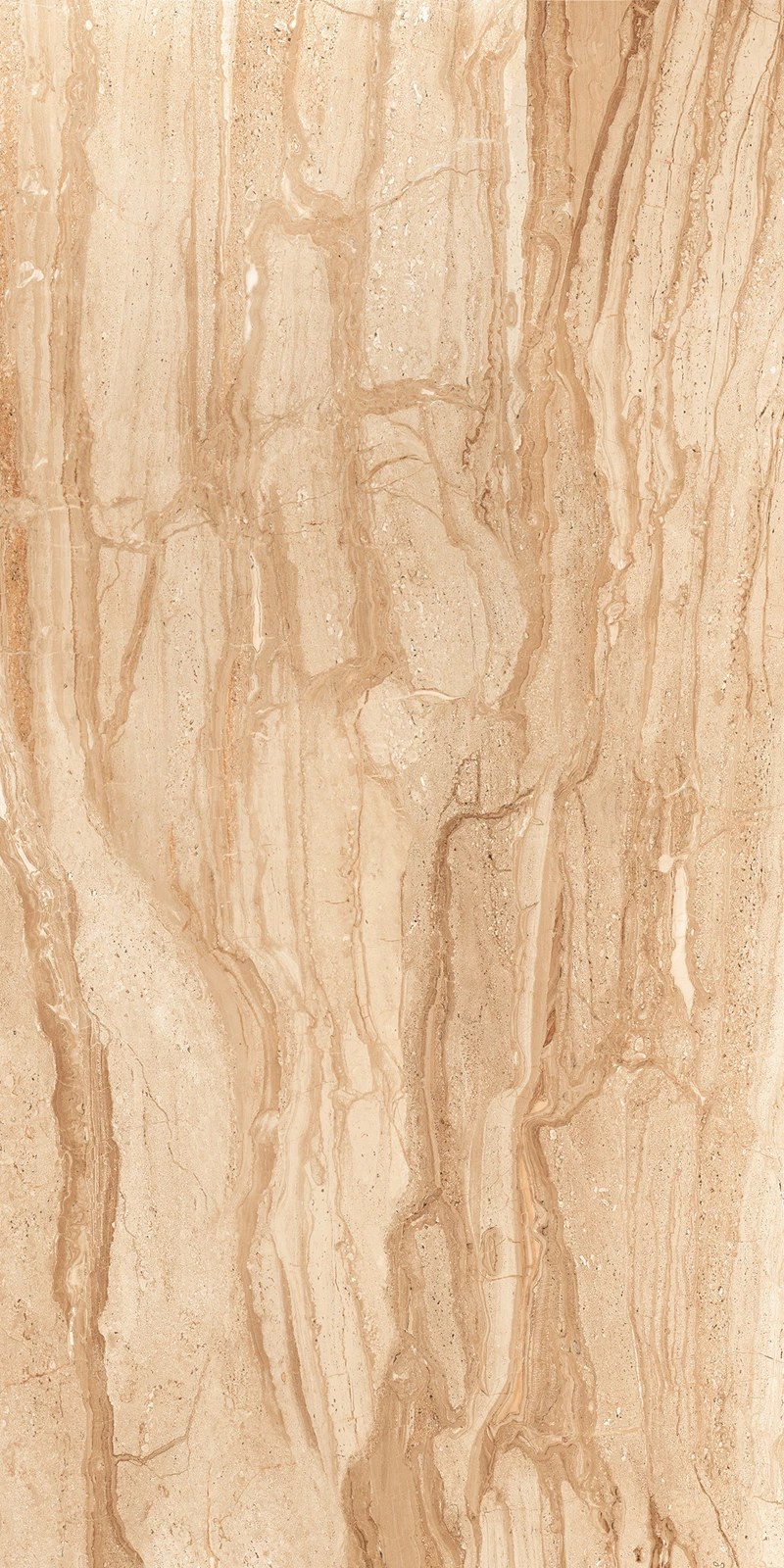 DYNA WALNUT_01
