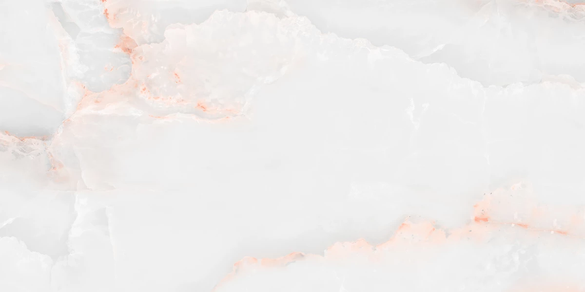 FLORIDA WHITE_P1