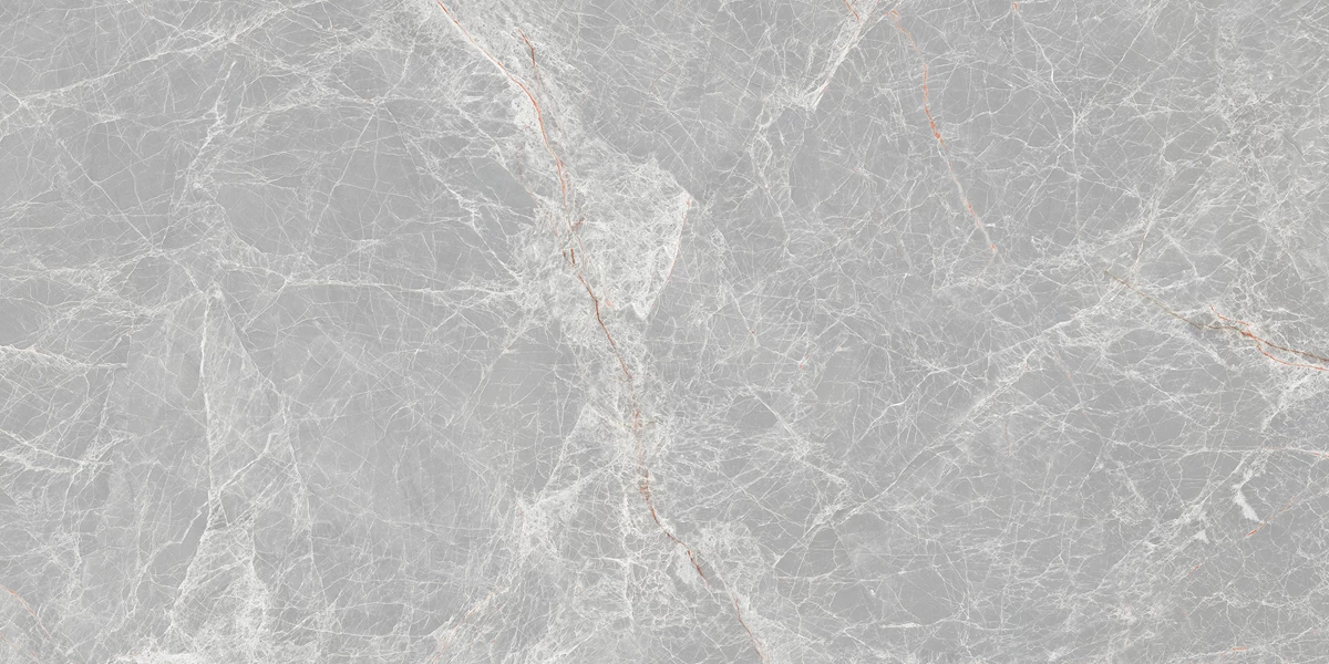 CASTOR GREY_P1