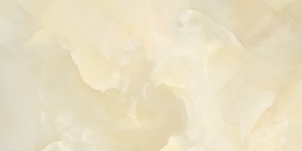 NICCOLO YELLOW_P1