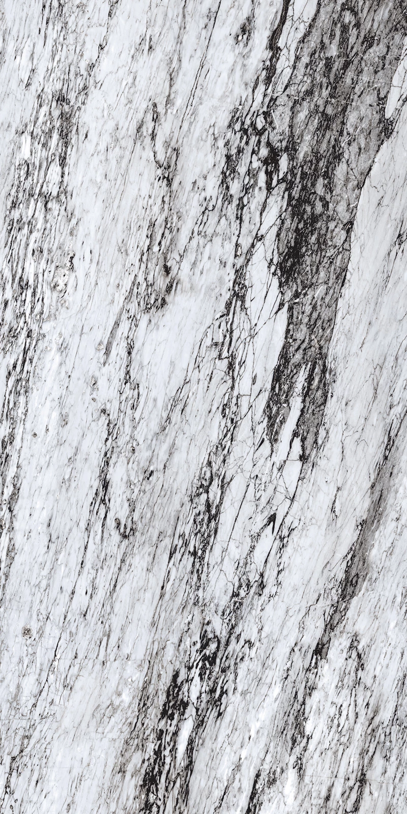 CARACUS BLACK-01