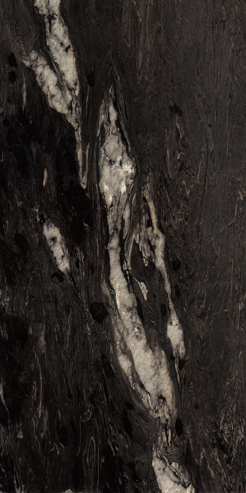 BLACK COSMOS_01