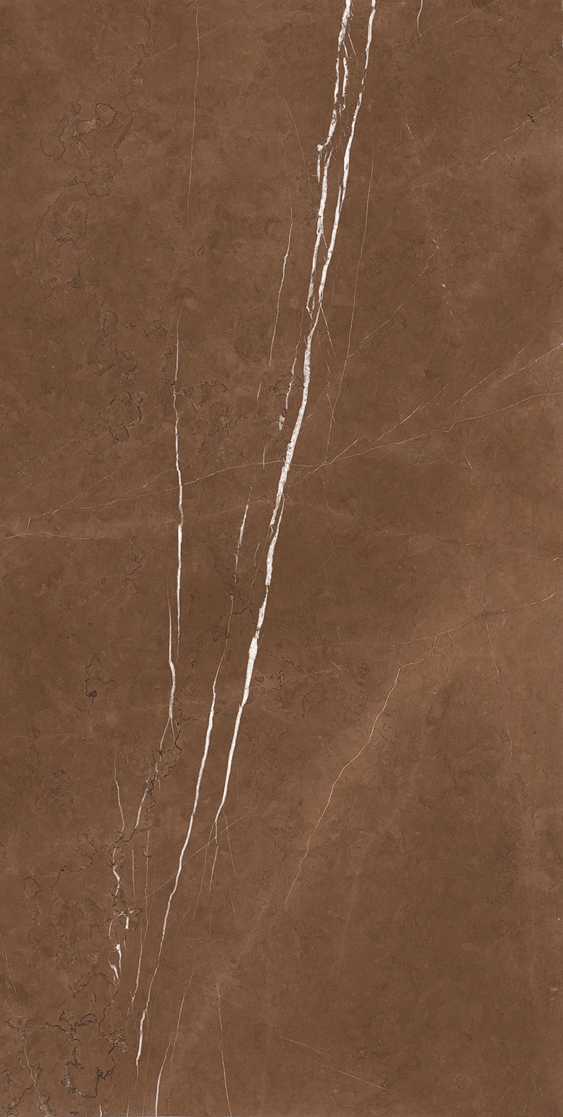 CLUSTER BROWN_01