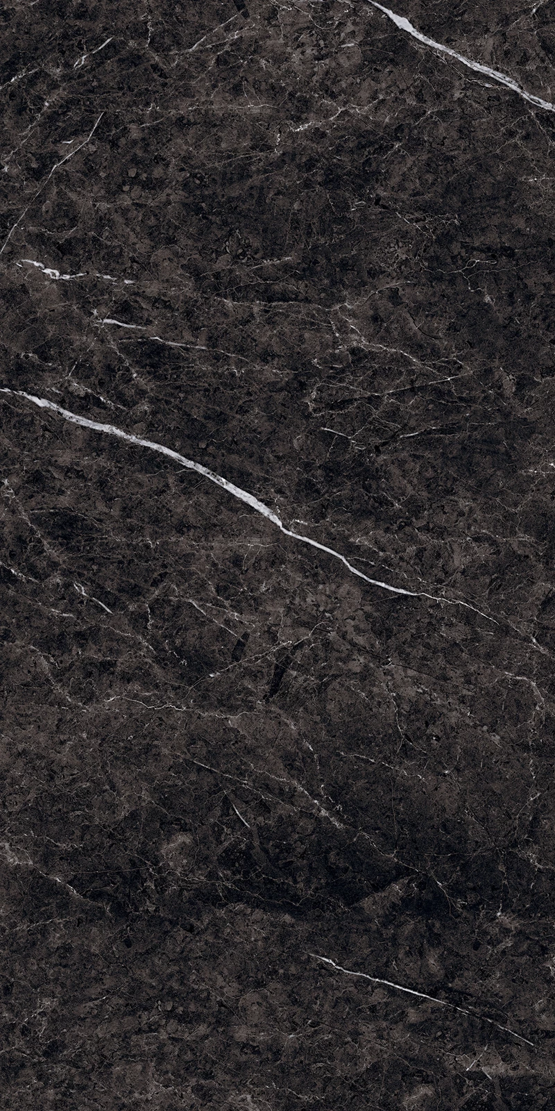 THUNDER BLACK_01