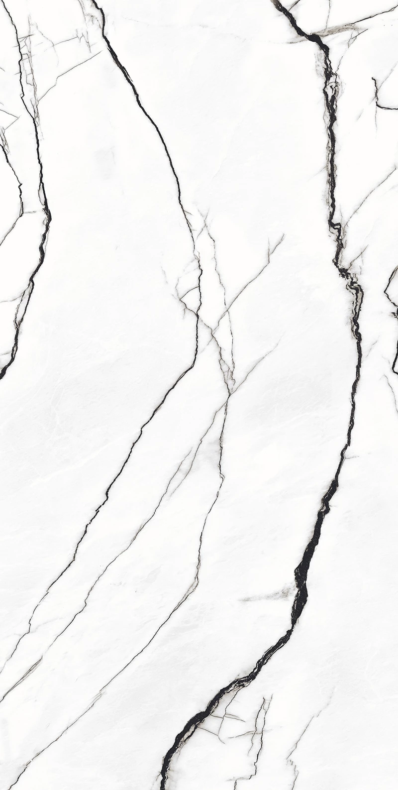 RETINA BLANCO_01