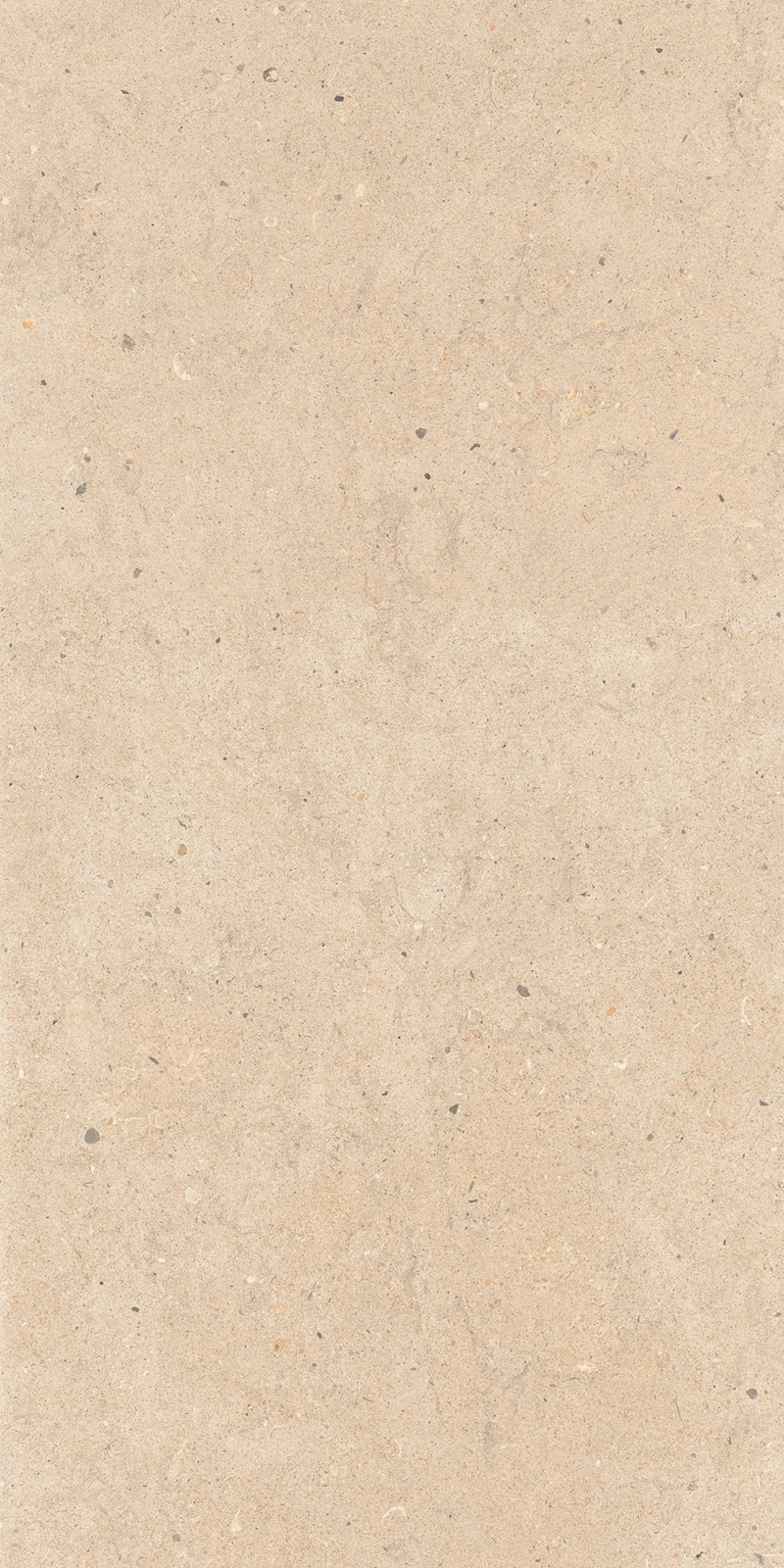 ANTICO FENTA_01