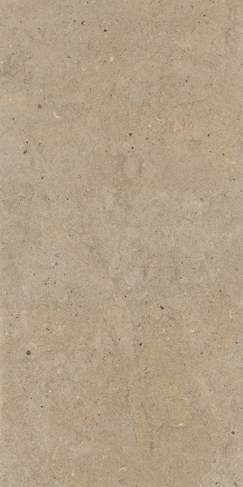 ANTICO BROWN_01