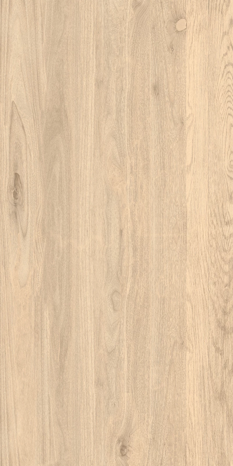 WALLNUT light_01