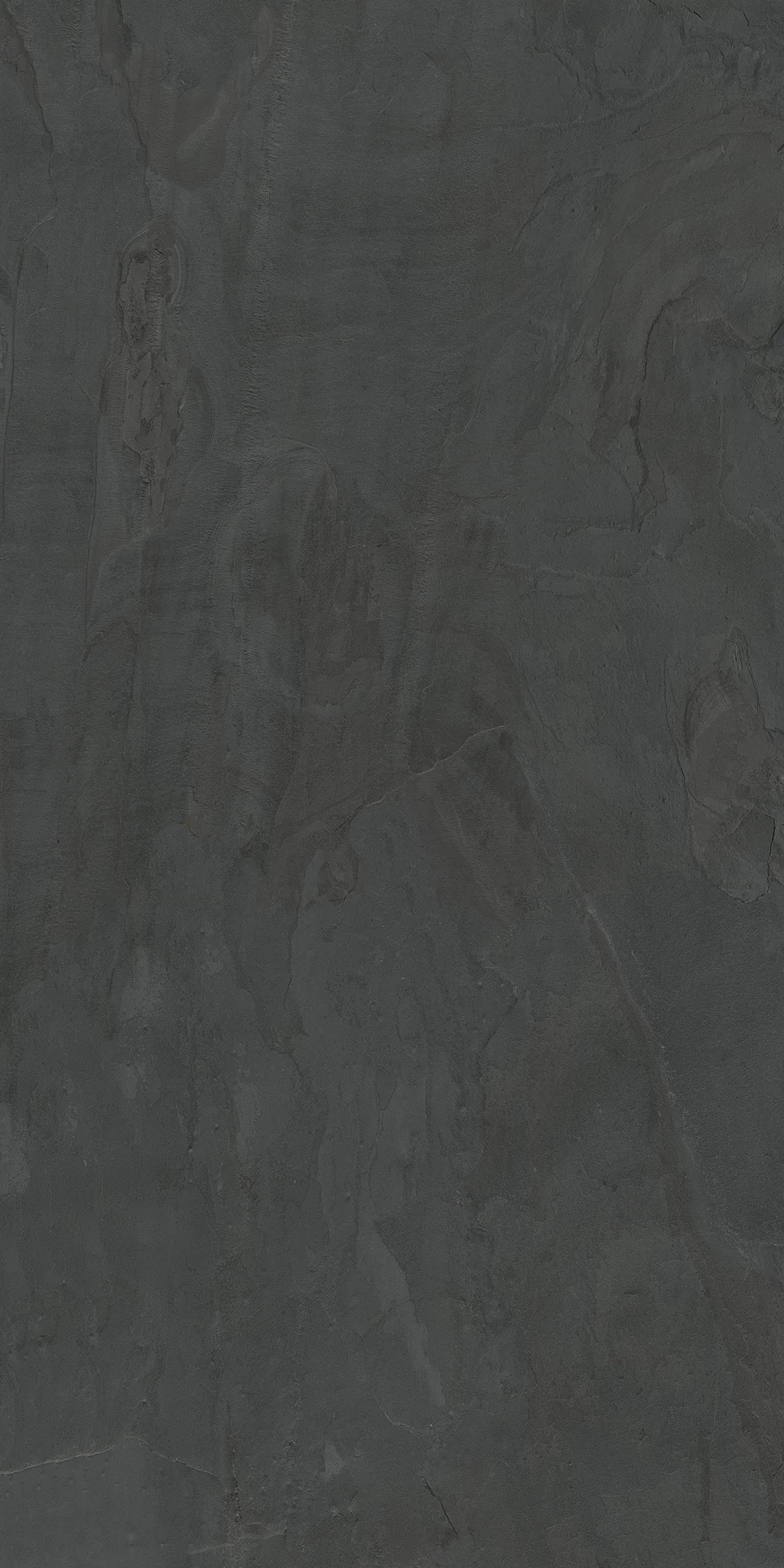 STONIS GRIS-01