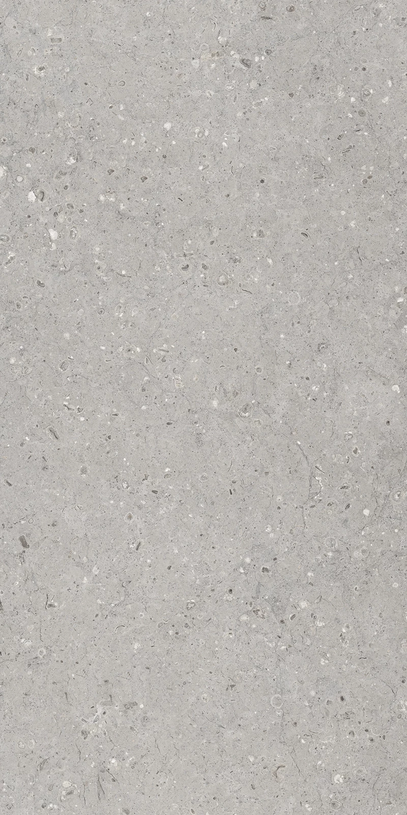 MOZECO GREY_01