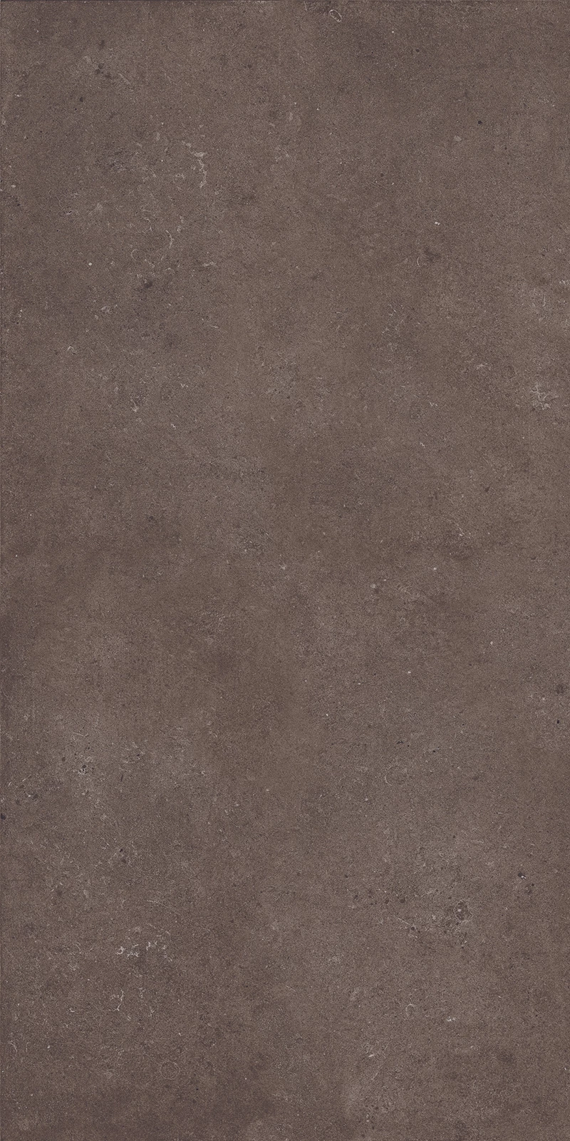 GALACTIC BROWN_01