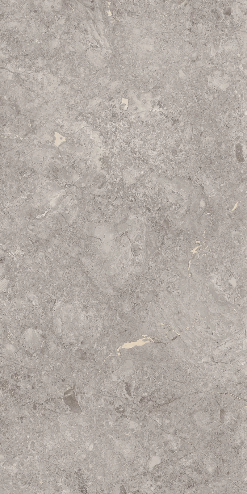 GREY WILLIUM_01