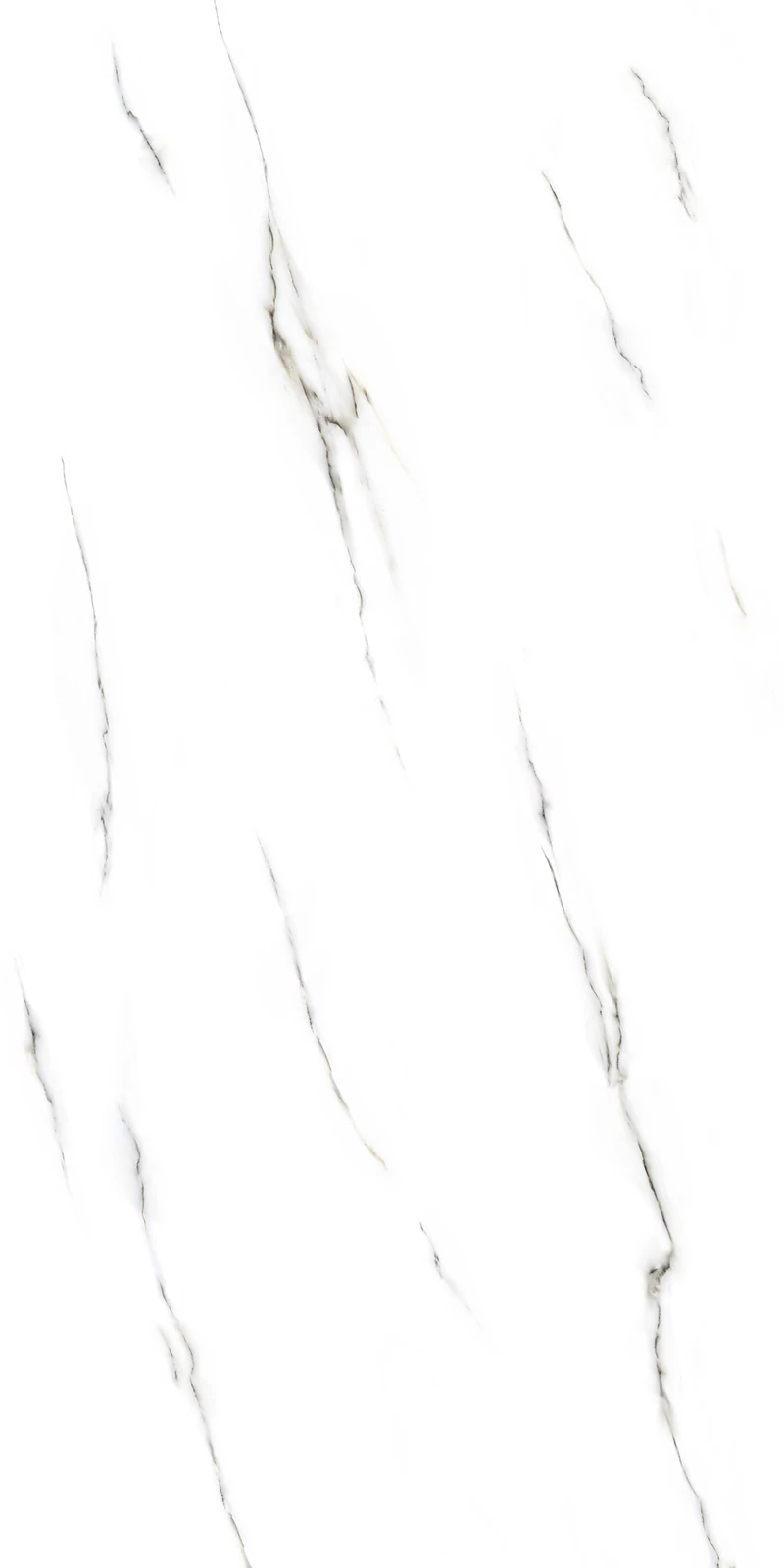 MANGUS WHITE_01