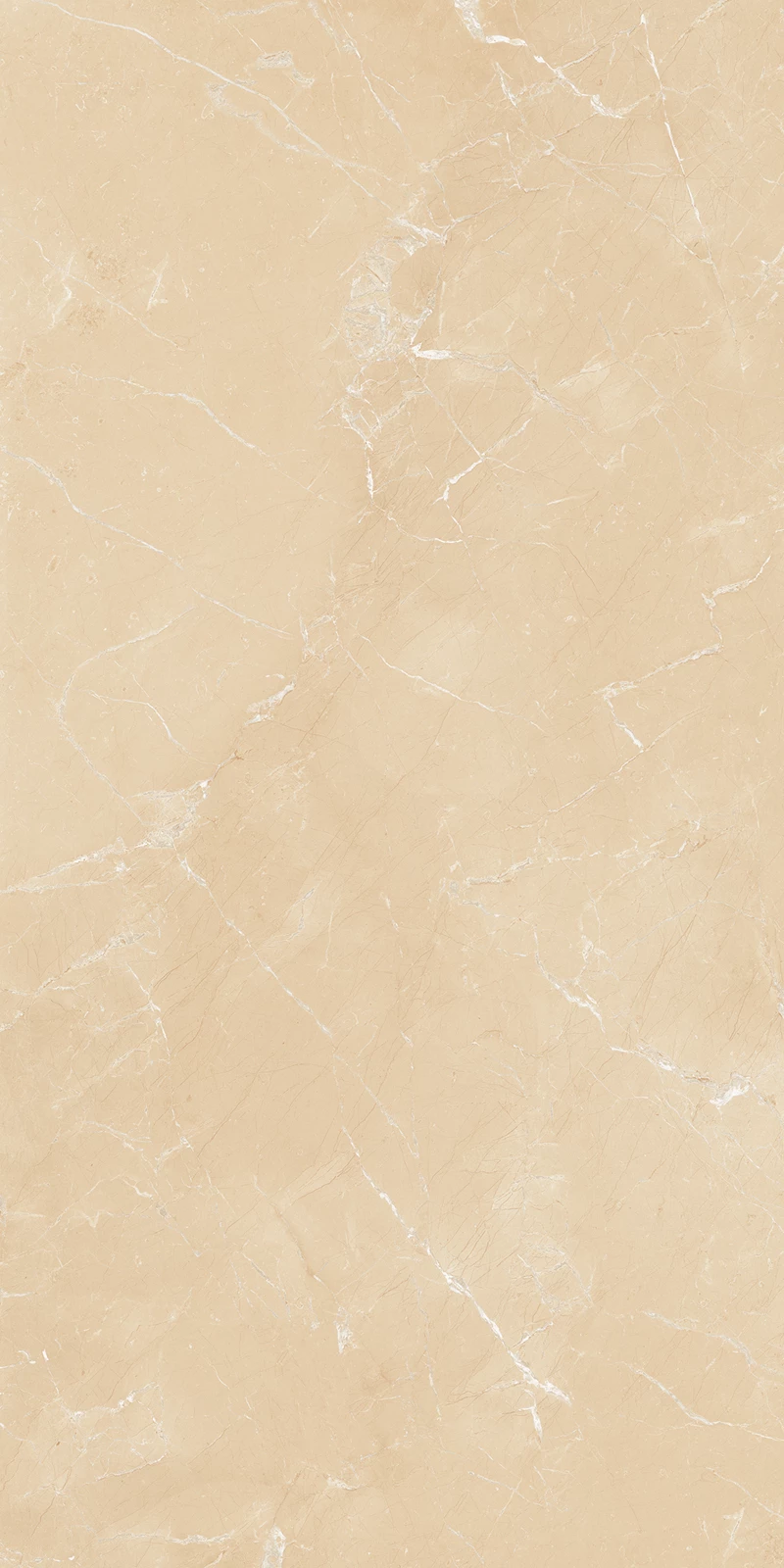 FOREST IVORY_01