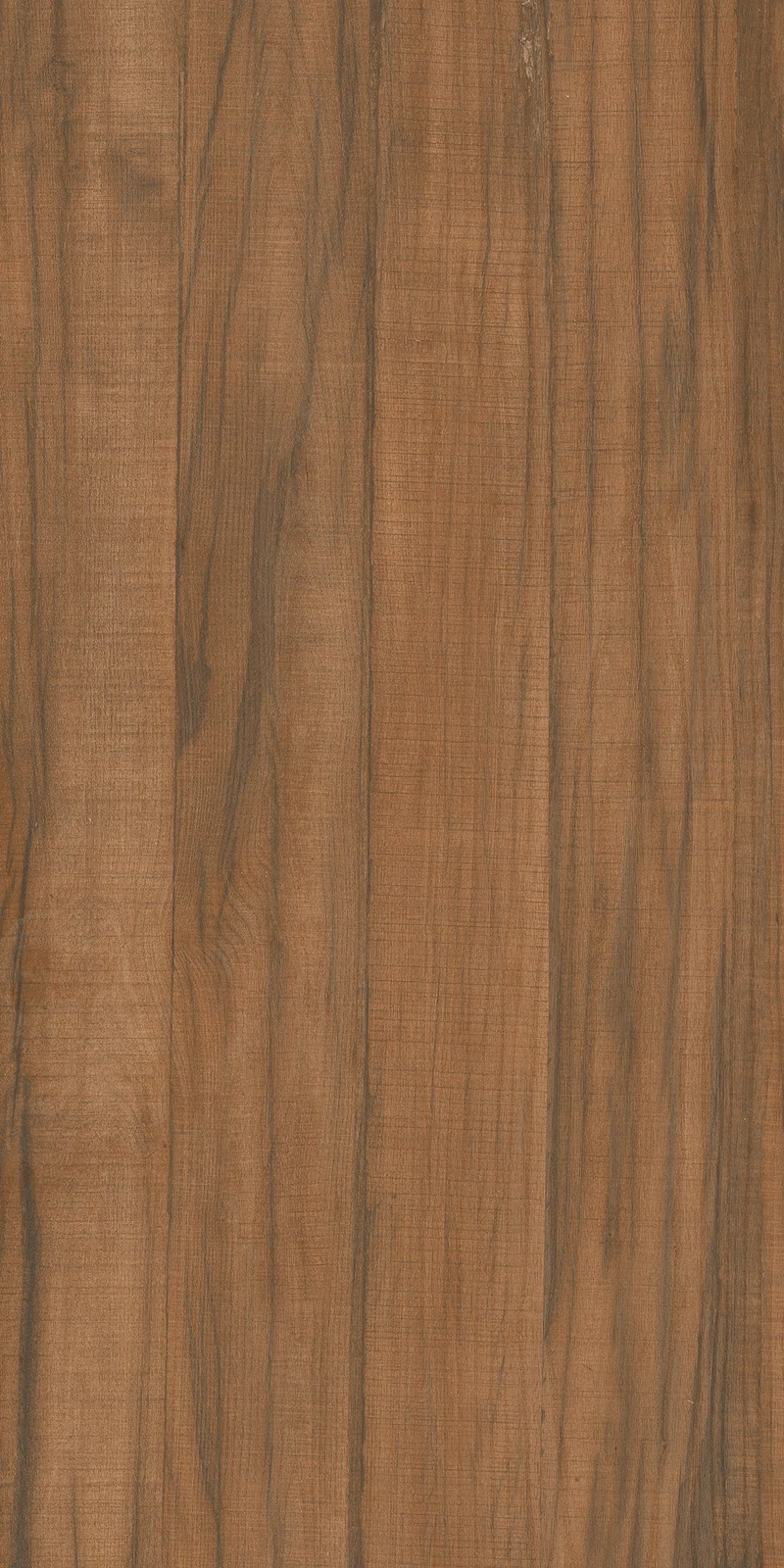 CAM WOOD BROWN_01