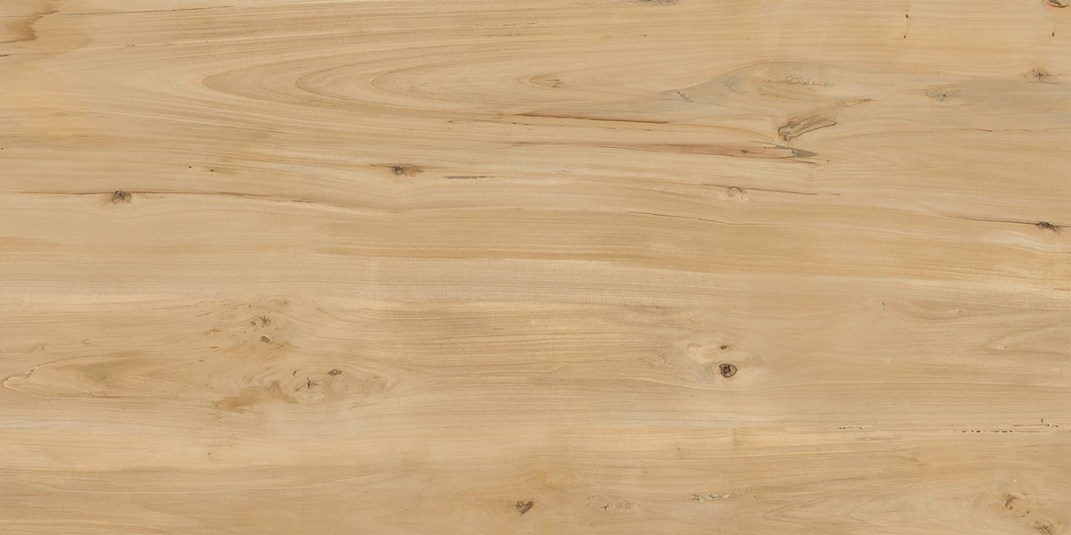 TEAK WOOD  IVORY _P1 copy