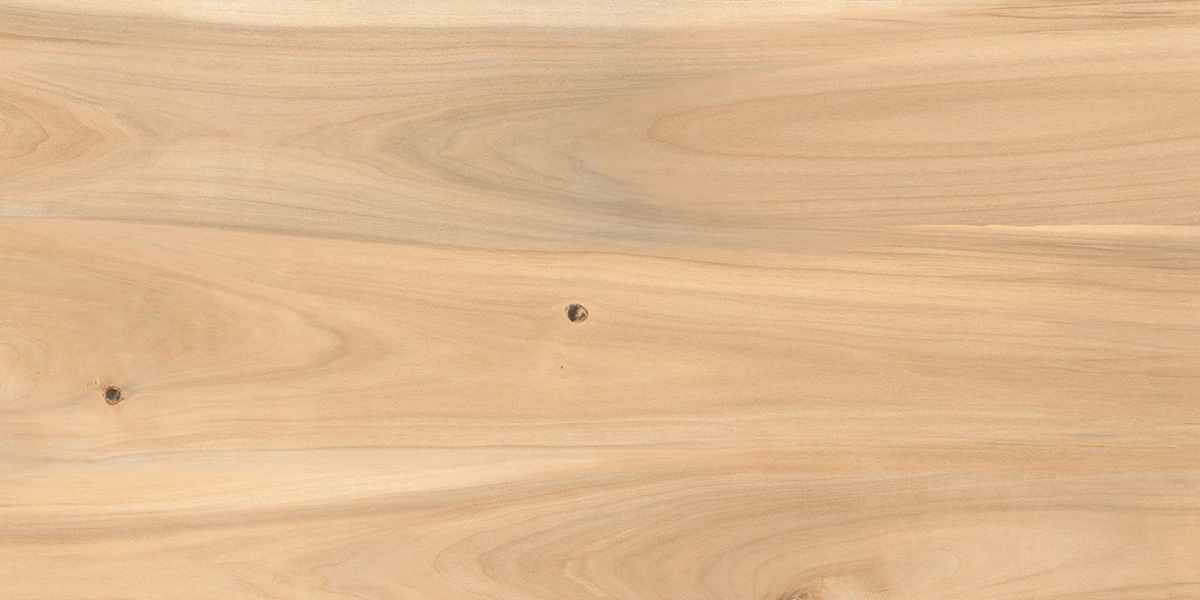 ASH WOOD CREMA_P1
