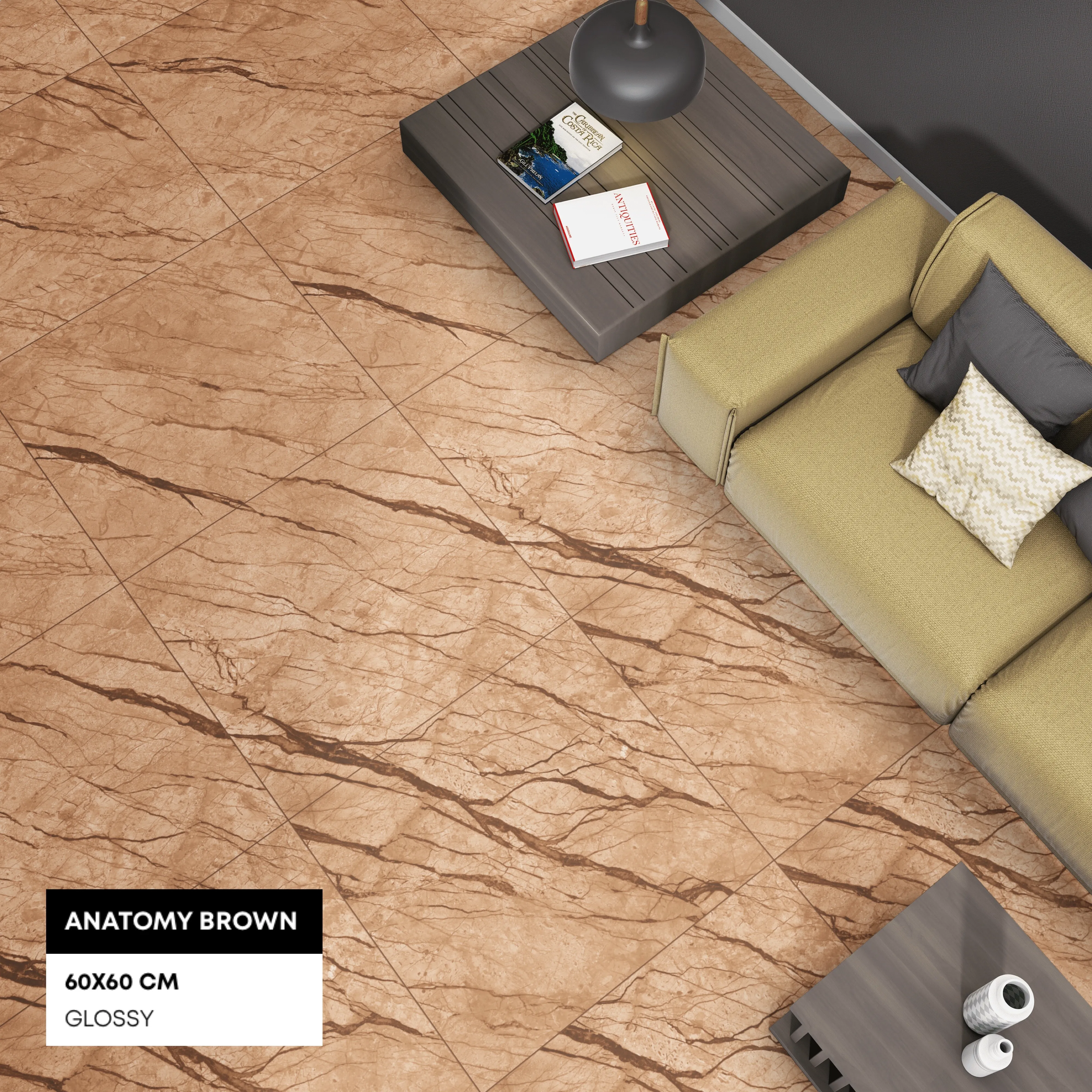 ANATOMY BROWN  R1