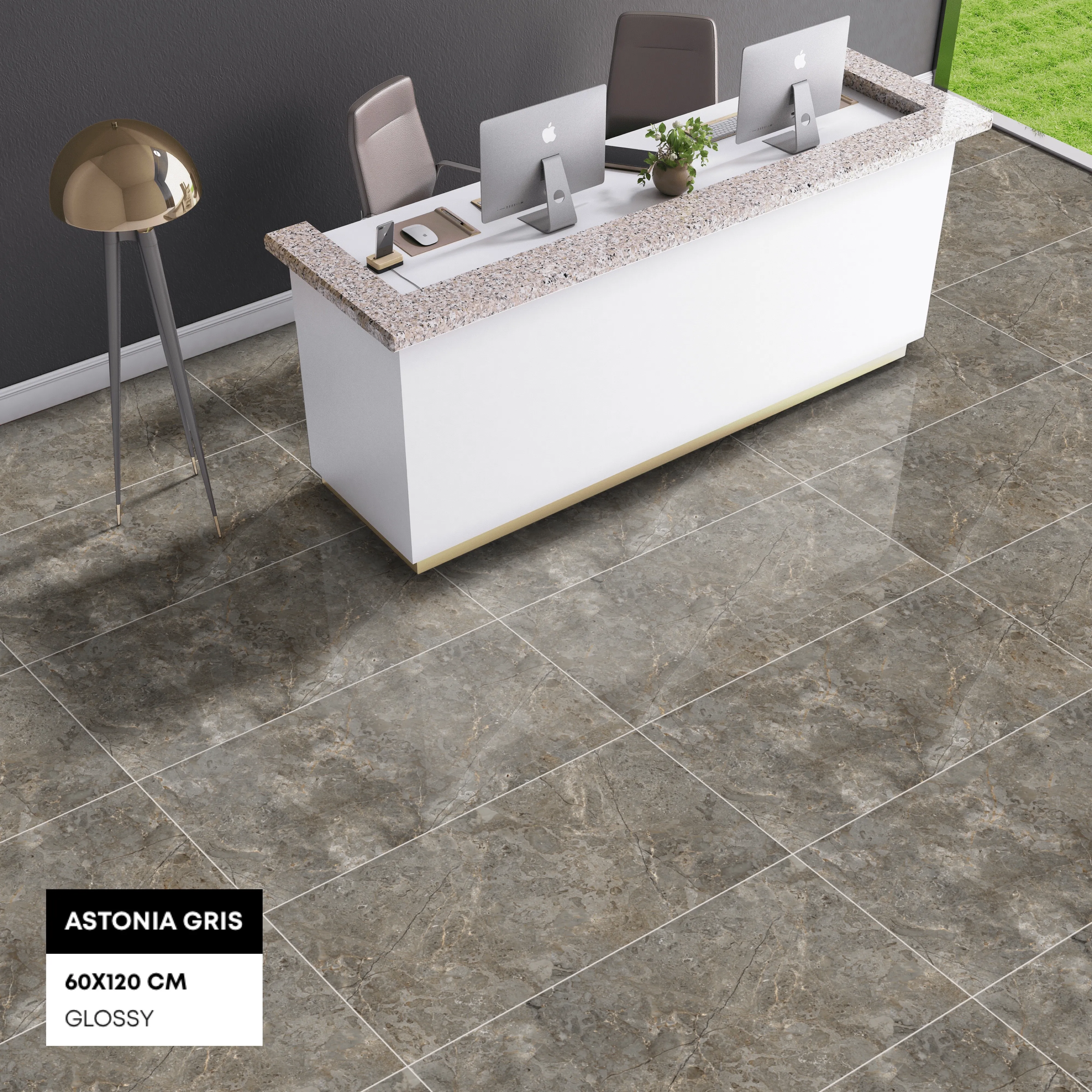 ASTONIA GRIS_P1